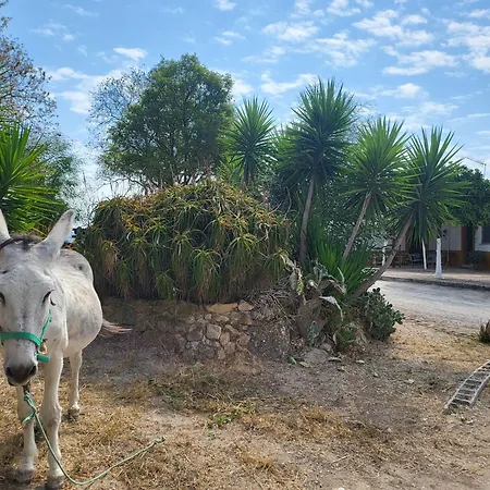 Vakantiehuis La Jaima Prado Del Rey