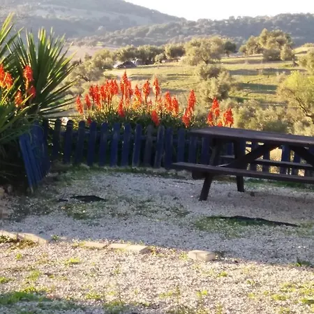 La Jaima Holiday home Prado Del Rey